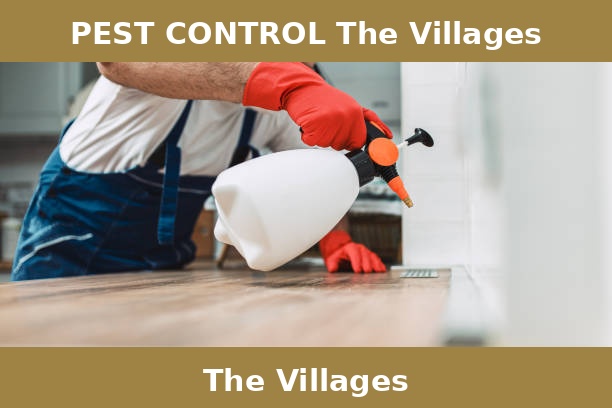 PEST CONTROL The Villages